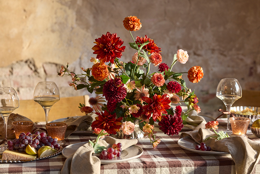 /images/imagebankSeasons/small/Mr Plant AW24/2412-35.jpg